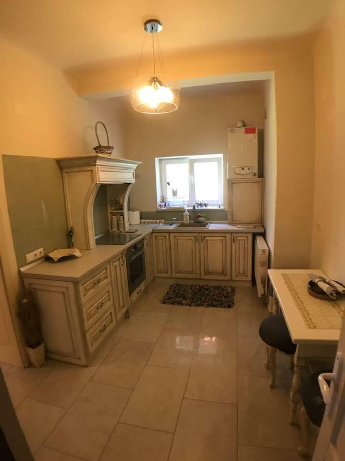 Apartment Vintige Клуж-Напока Экстерьер фото