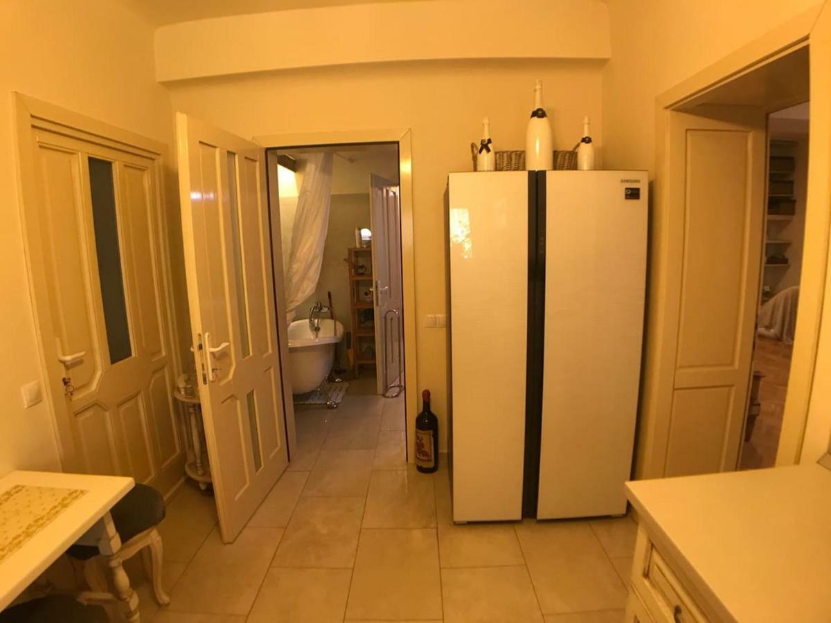 Apartment Vintige Клуж-Напока Экстерьер фото
