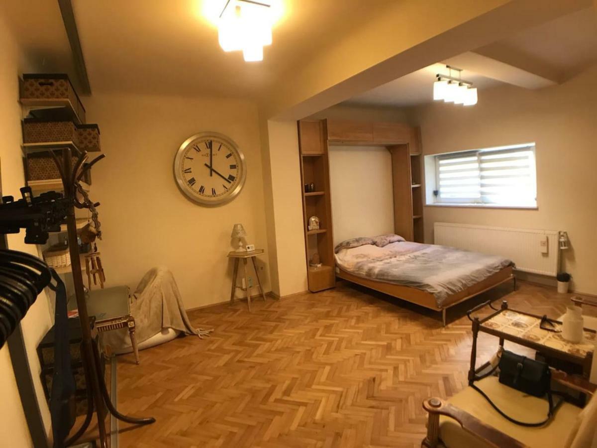 Apartment Vintige Клуж-Напока Экстерьер фото